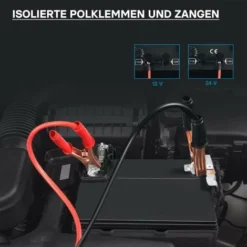 Wiltec Caricabatterie 12V E 24V Boost 430 Caricatore Per Batterie Piombo Acido AGM -TopAuto Ricambi Italia 3564266 4