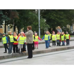 Taglia Universale M Per Ragazzo E Ragazza (7-9 Anni) 4547Cm2pcs Gilet Di Sicurezza Per Bambini Gilet Giallo Riflettente -TopAuto Ricambi Italia 95767271 3