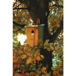 ESSCHERT DESIGN Osservazione Del Nido